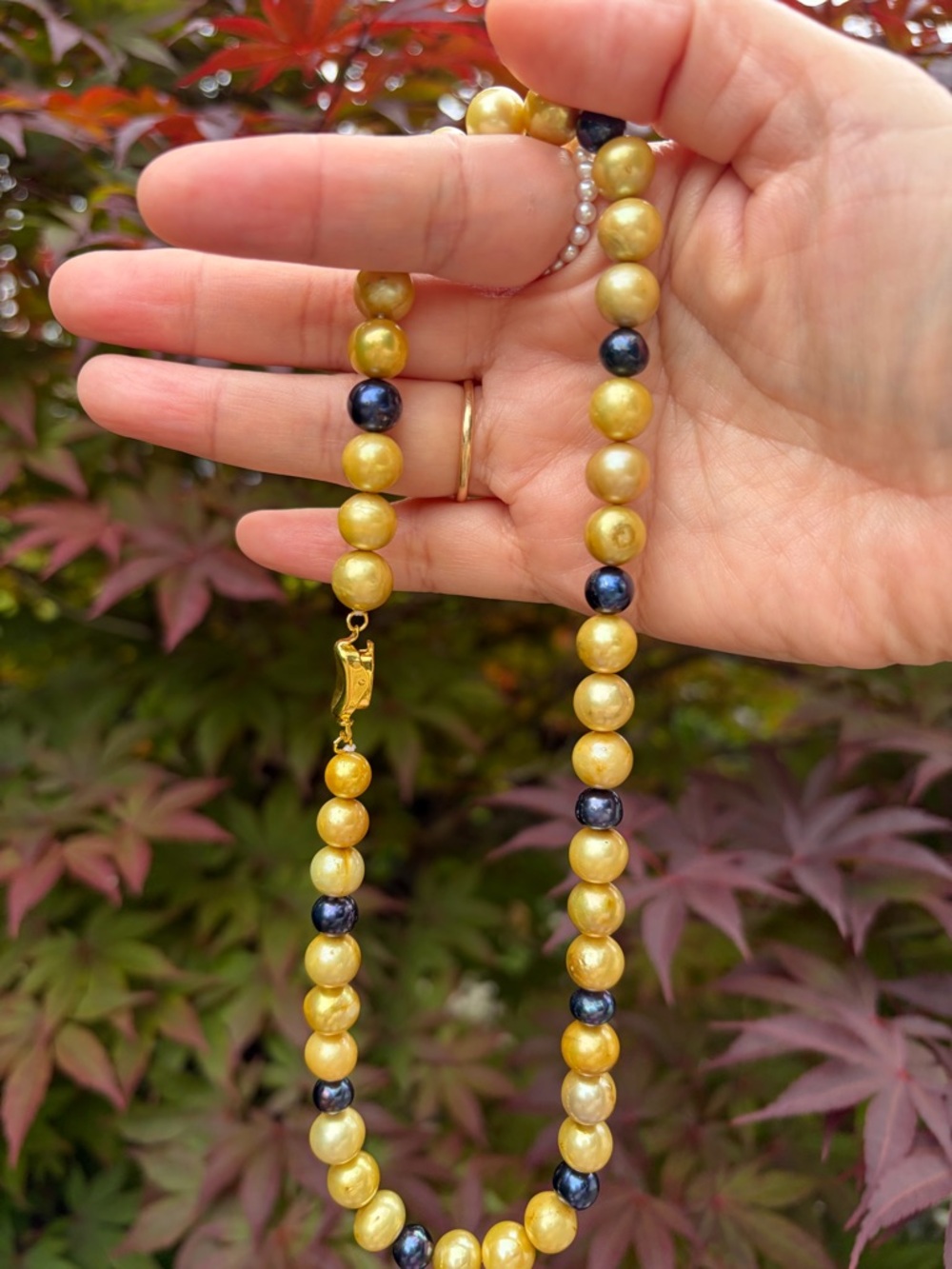 925 locked Golden/ darken Natural Freshwater Pearl Strand Necklace - 7mm-9.5mm